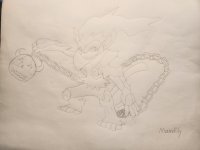 Infernape.jpg